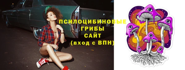 спиды Алексин