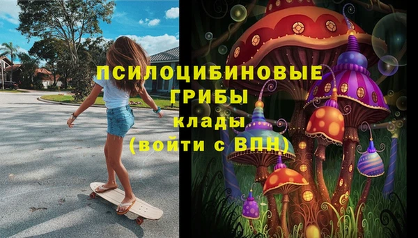 спиды Алексин