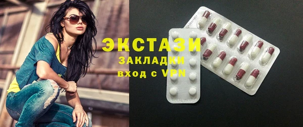 индика Сосновка
