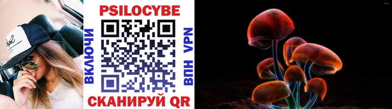 где найти наркотики  OMG ССЫЛКА  Галлюциногенные грибы мицелий  Звенигово 